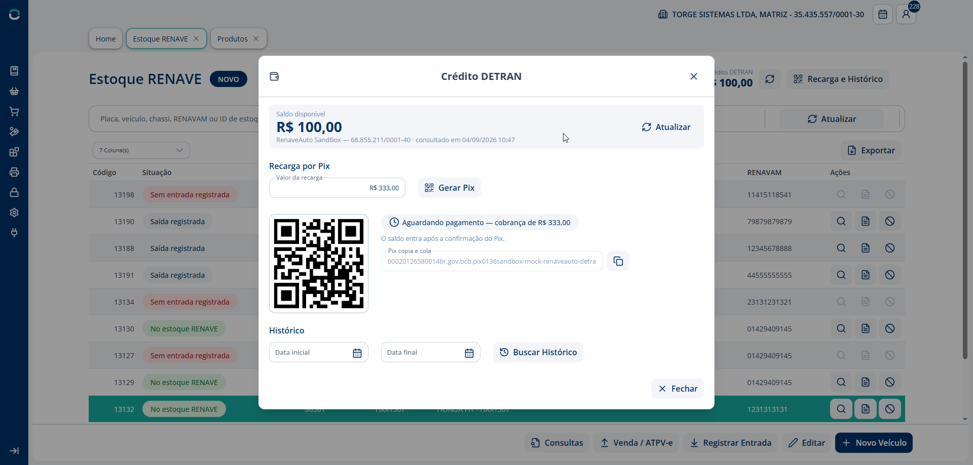 Alt text: Tela mostrando o saldo disponível de crédito DETRAN e o campo de recarga via Pix