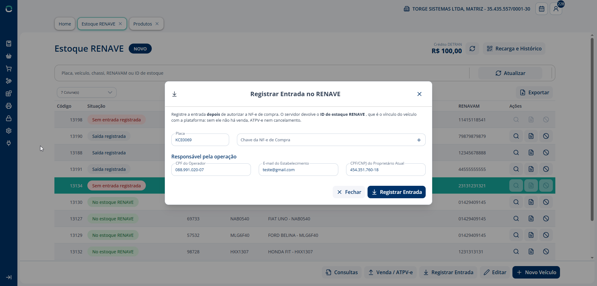 Alt text: Diálogo de registro de entrada de veículo no estoque RENAVE