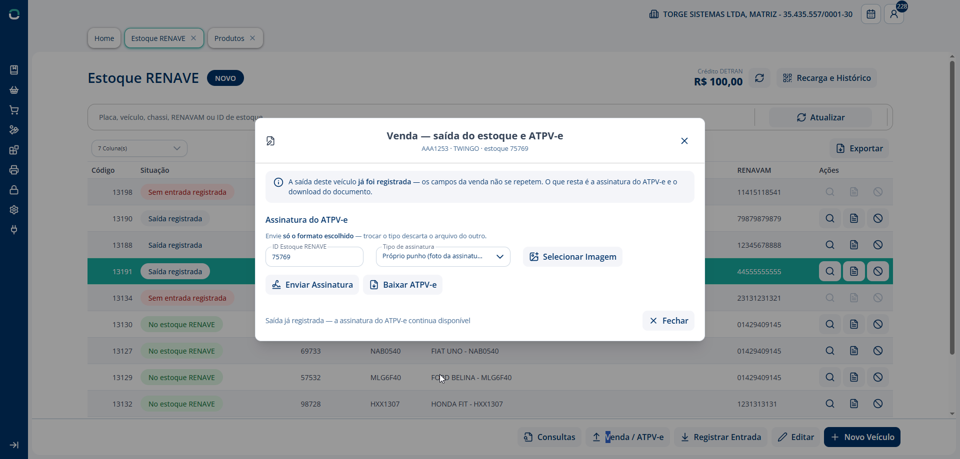 Alt text: Seção de assinatura do ATPV-e dentro do diálogo de saída, com opções de tipo de assinatura